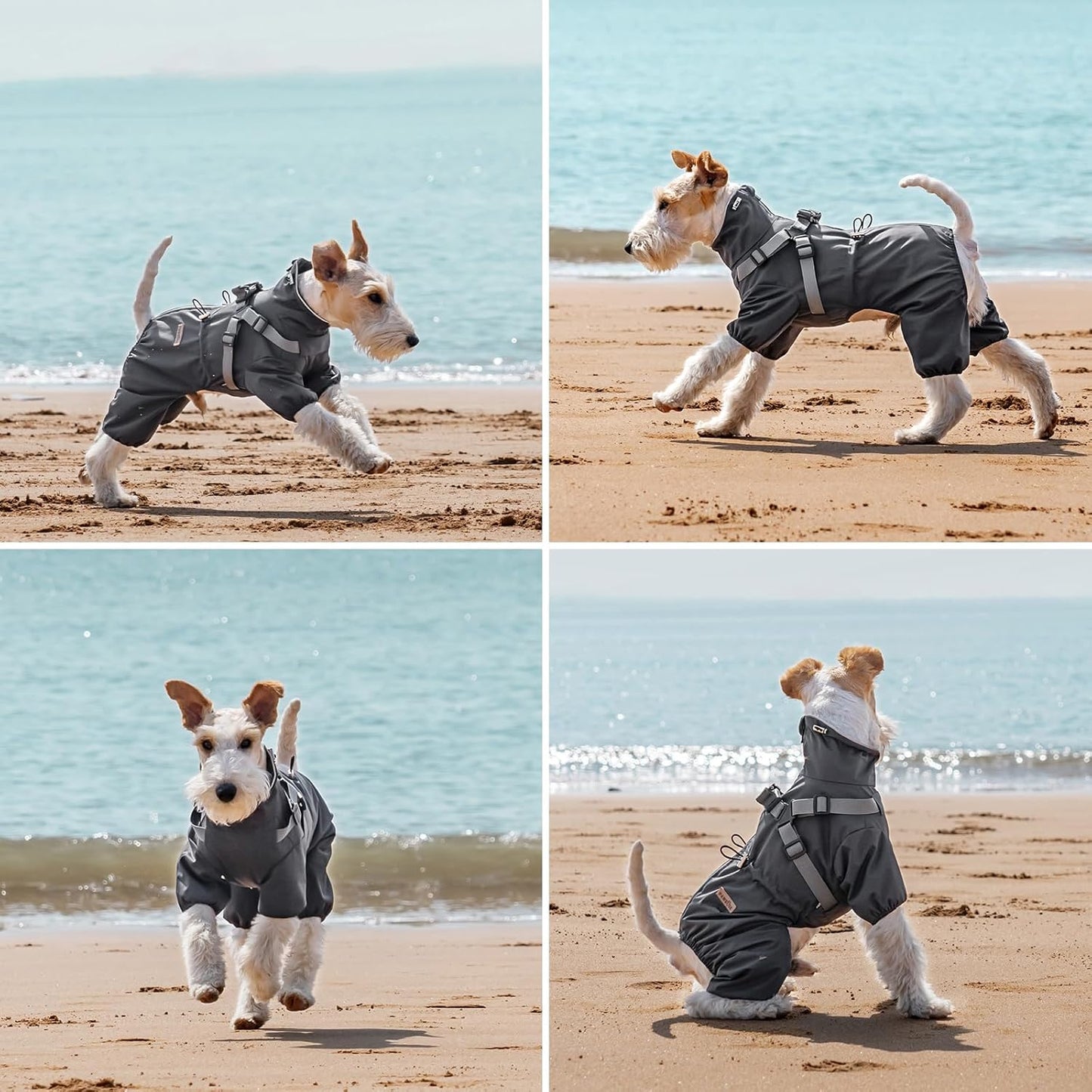 Dog Raincoat