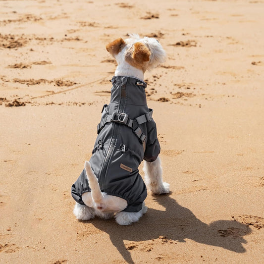 How to Pick the Perfect Toys for Your Puppy