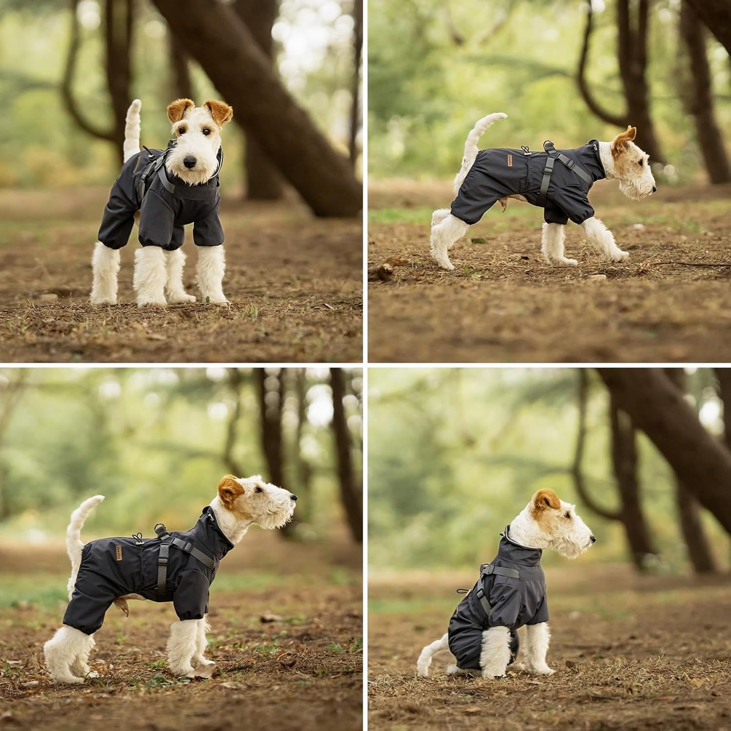 Dog Raincoat